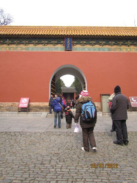 IMG_3629.jpg