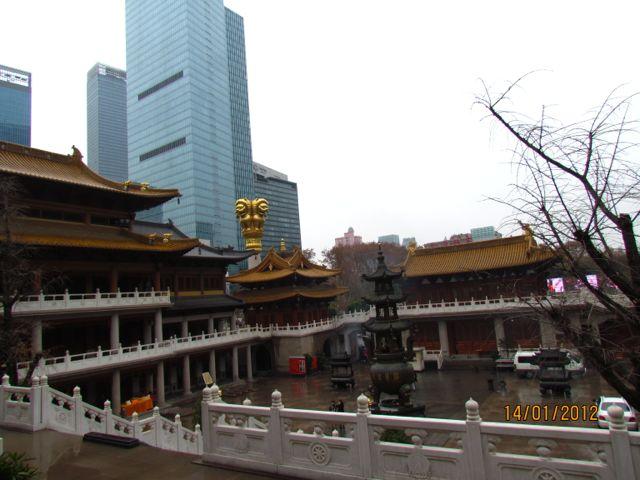 IMG_2787.jpg