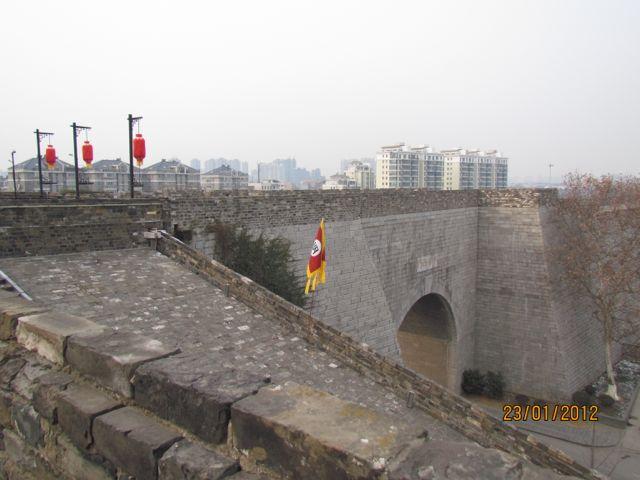 IMG_3561.jpg