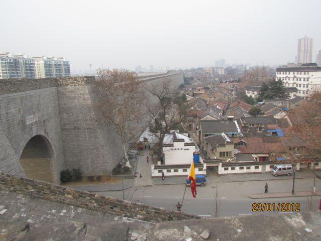 IMG_3560.jpg
