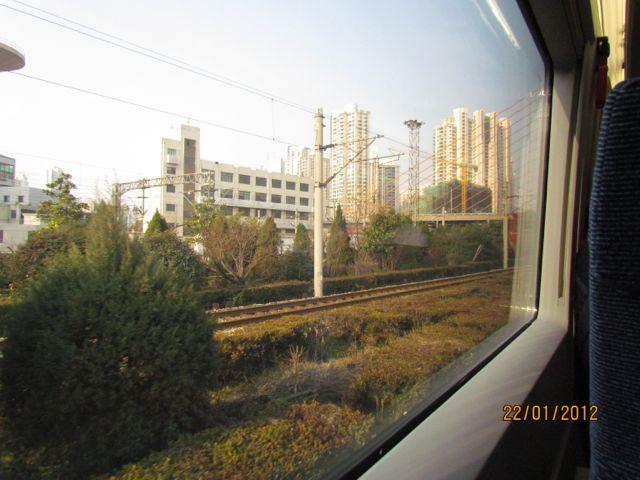 IMG_3231.jpg