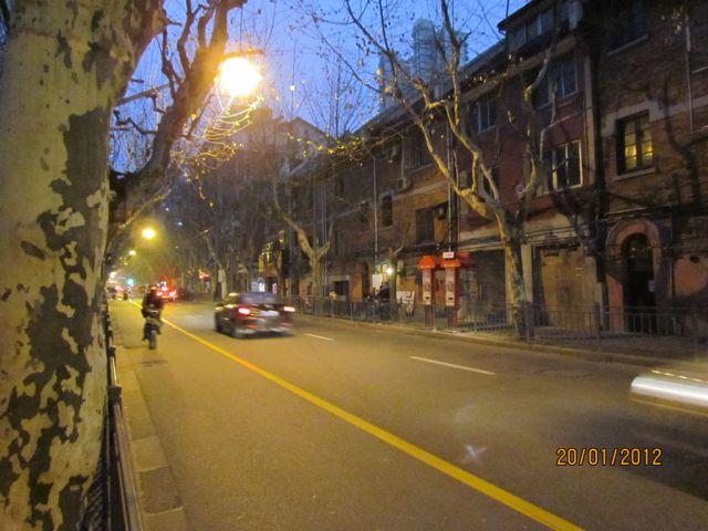 IMG_2885.jpg
