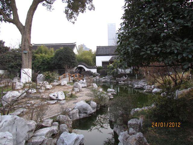 IMG_3728.jpg