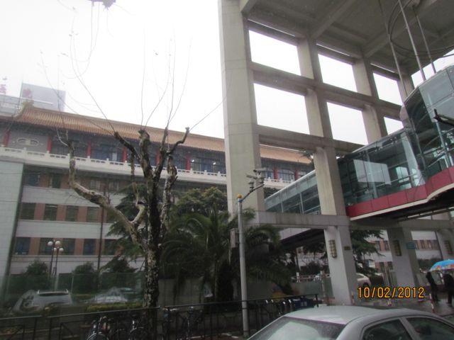 IMG_4491.jpg