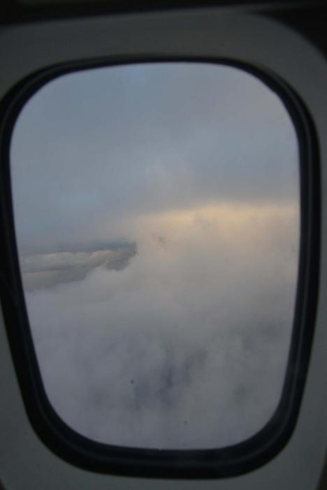 DSC_0458.jpg