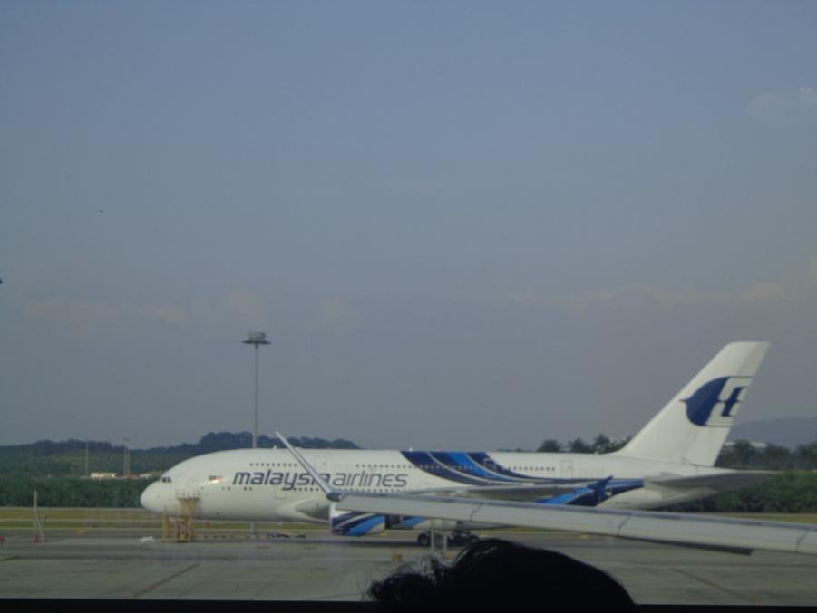 36.jpg