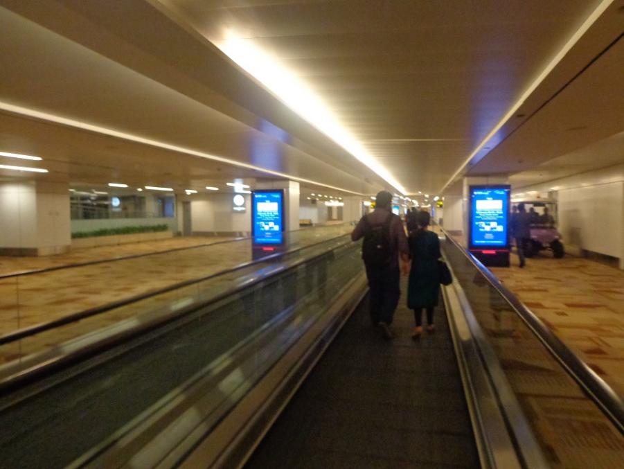 55.jpg