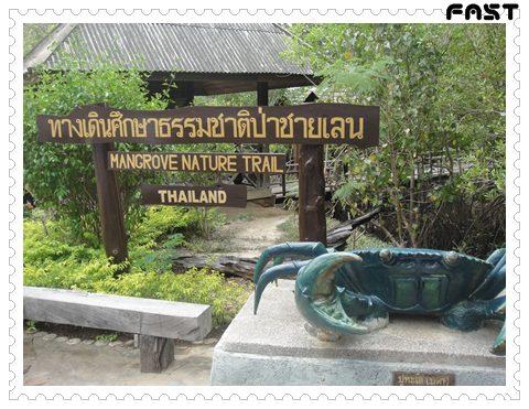Suan Son0107-DSC01604.JPG