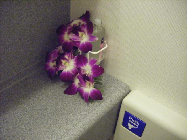 DSCF6627.JPG
