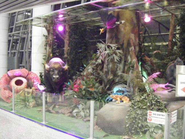 DSCF6644.JPG
