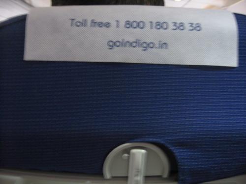 IMG_2382_resize.JPG