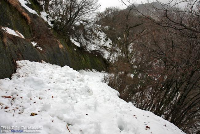 _MG_9638.jpg