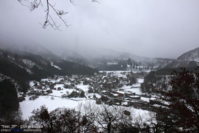 _MG_9652.jpg