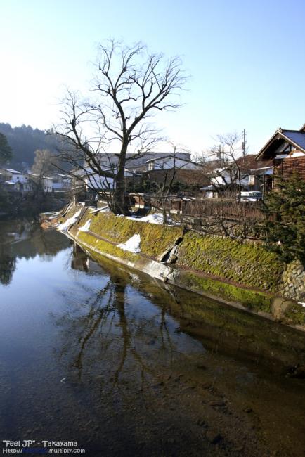 _MG_9941.jpg