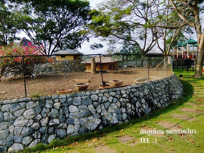 DSCF0380.JPG