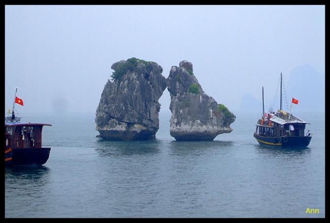 vn076_7407.jpg