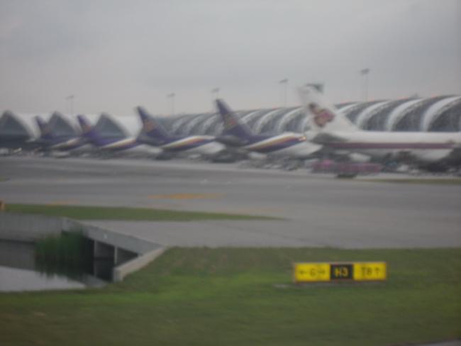 SDC12385_resize.JPG