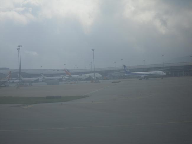 SDC12400_resize.JPG