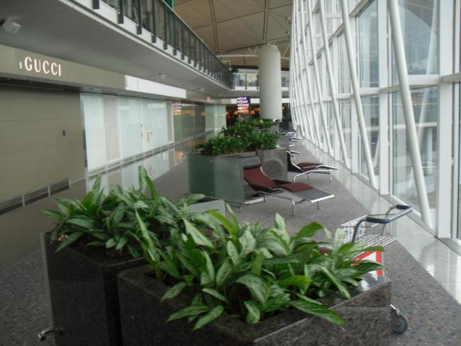 SDC12879_resize.JPG