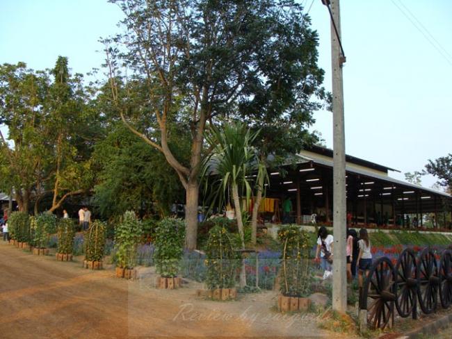 resizeDSC07657.jpg