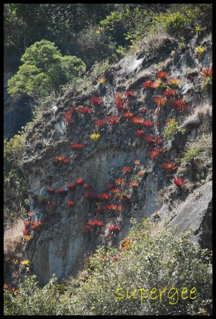 Peru_103.jpg