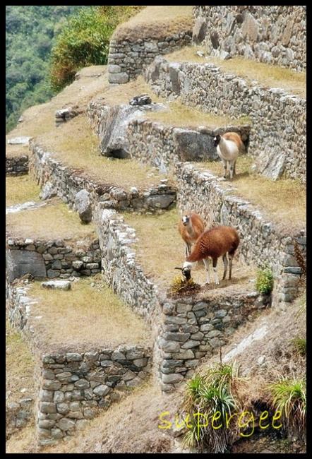 Peru_121.jpg