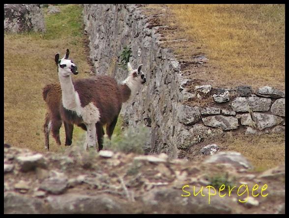 Peru_124.jpg