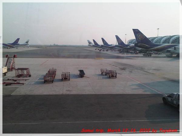 Samui8.jpg