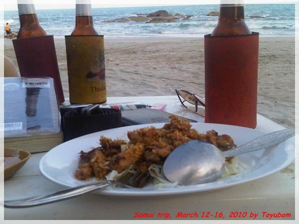 Samui96.jpg