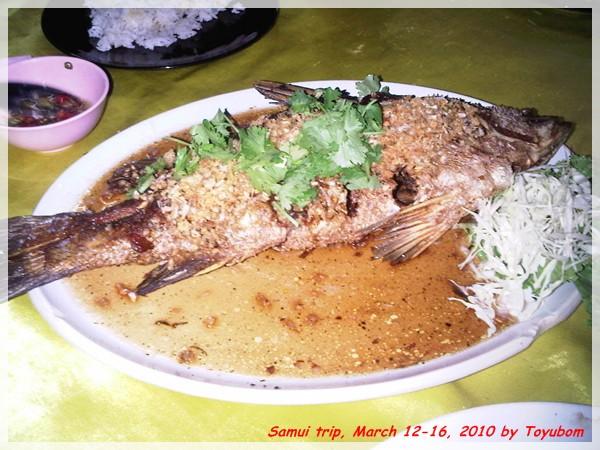 Samui105.jpg