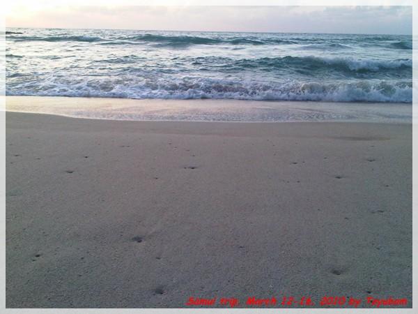 Samui118.jpg