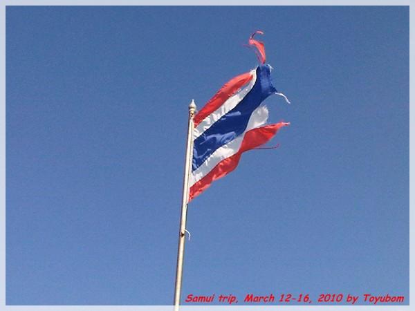 Samui132.jpg