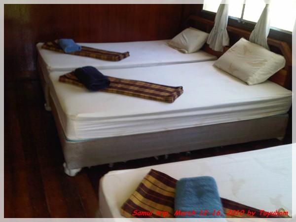 Samui149.jpg
