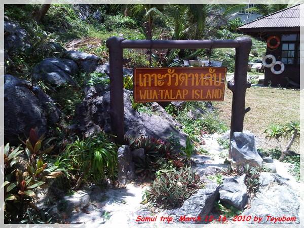 Samui152.jpg