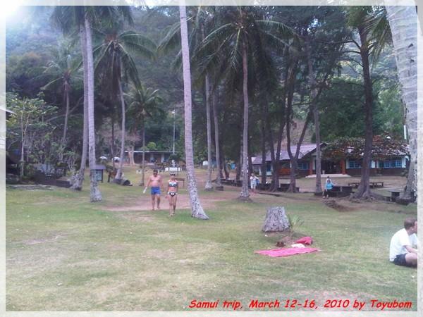 Samui157.jpg