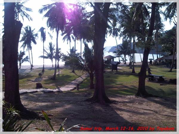 Samui173.jpg