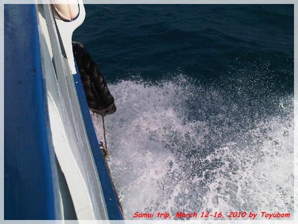 Samui203.jpg