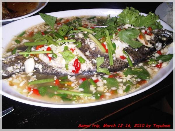 Samui228.jpg