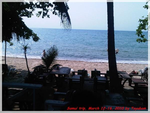 Samui241.jpg