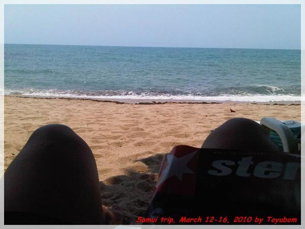 Samui245.jpg