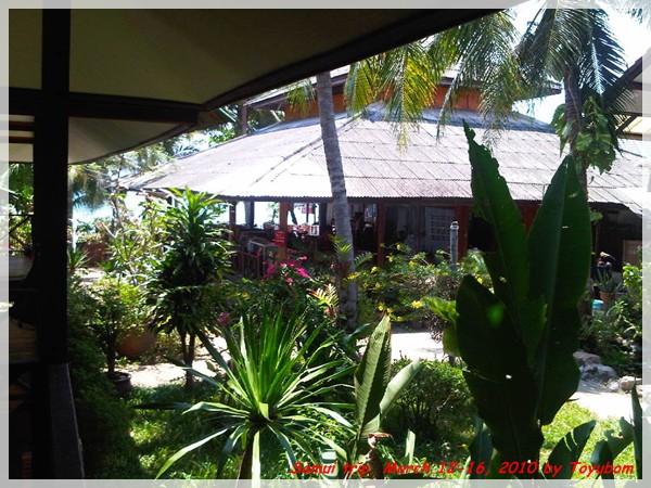 Samui246.jpg