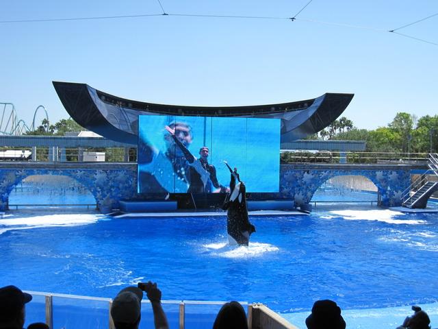 IMG_2703_resize.jpg