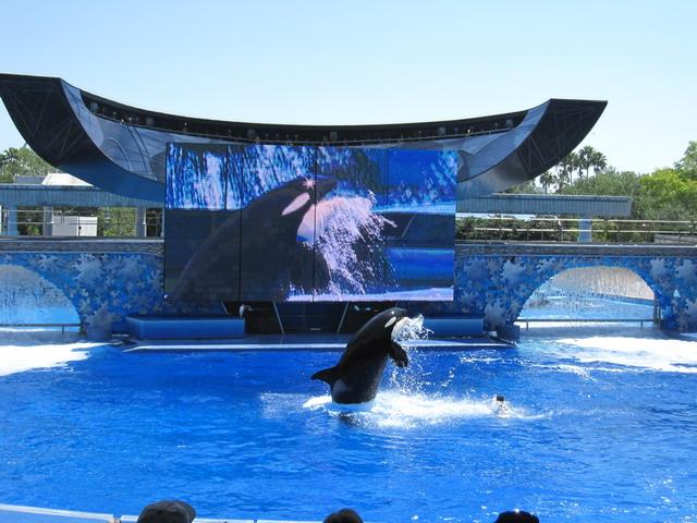 IMG_2648_resize.jpg