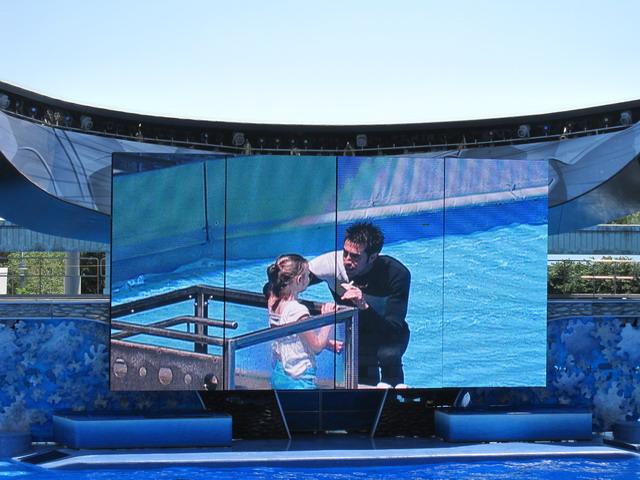 IMG_2695_resize.jpg