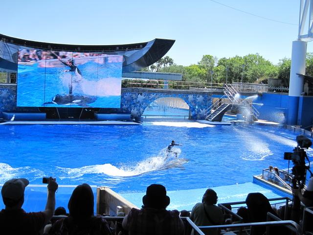 IMG_2702_resize.jpg