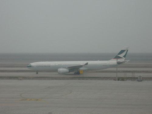IMG_2178_resize.JPG