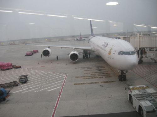 IMG_2188_resize.JPG