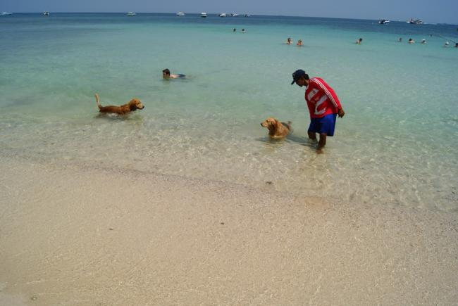 DSC02045_resize.JPG