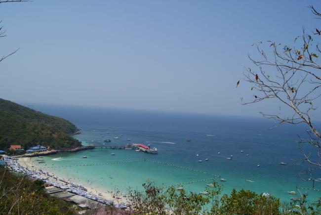DSC02094_resize.JPG