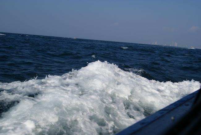 DSC02207_resize.JPG